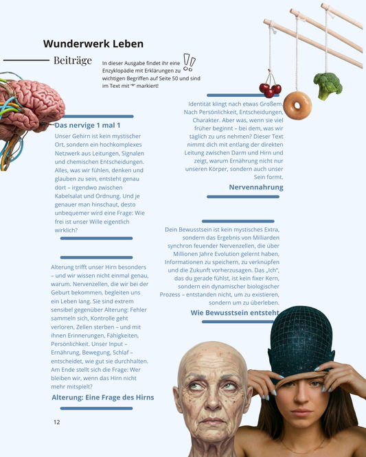 Vol. 08 - DEiN HiRN