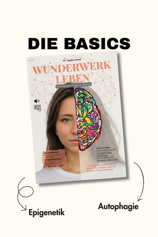 "Die sechs Dimensionen" Vol. 01-06